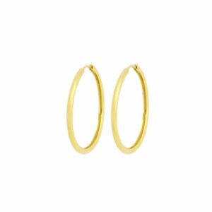 Brinco Argola 2,5cm Dourado